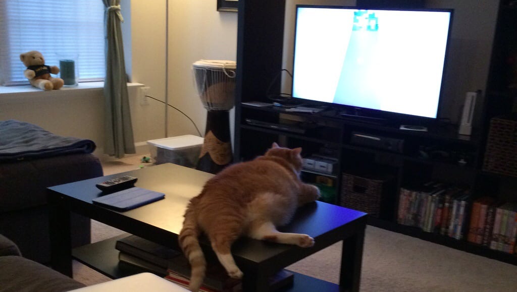 Scenes From the Week // 01