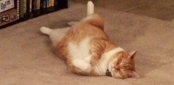 Scenes From the Week // 02