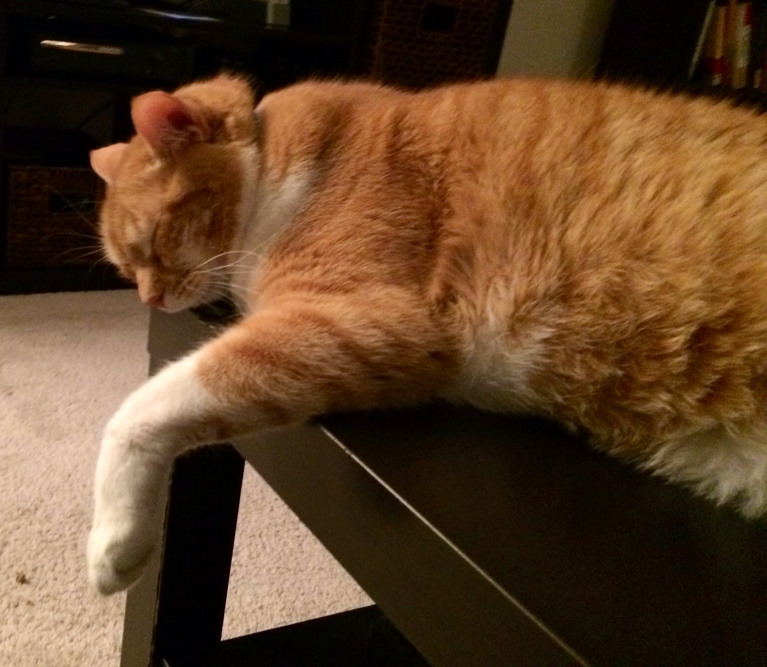 Lazy Days with Banana // 07