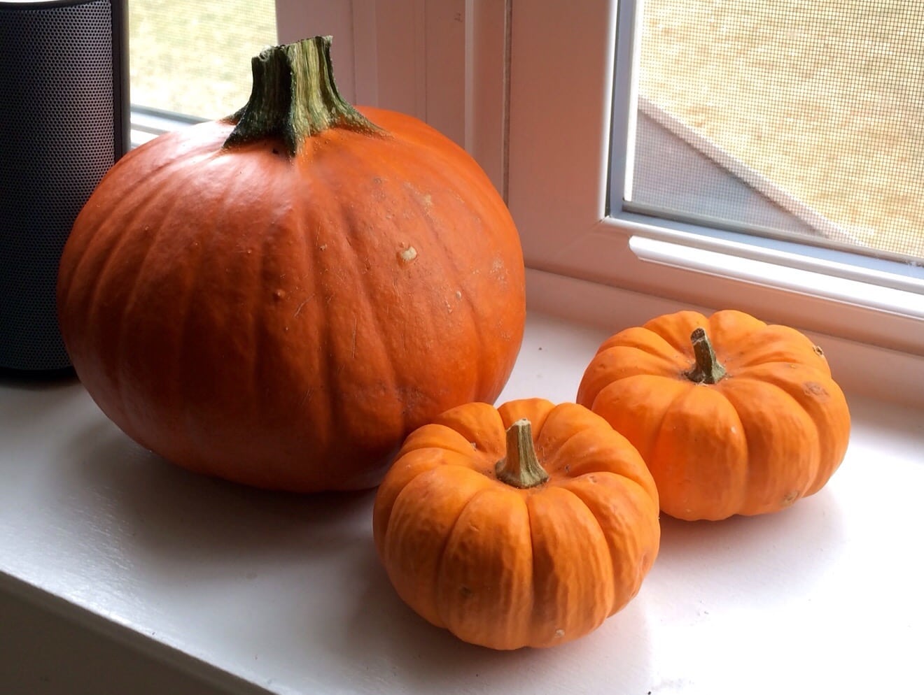 Scenes From the Week // 08