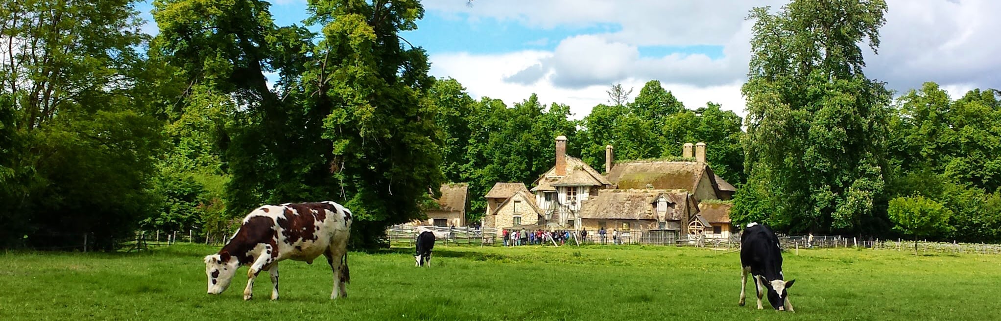 Weekly Wishes #29 // September Goals