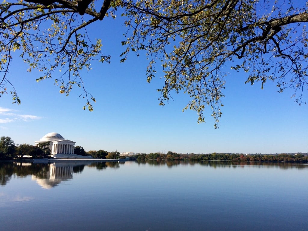 Weekend Highlights // 01