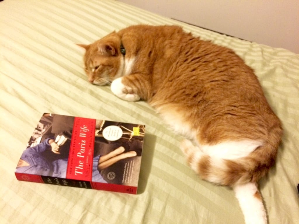 Scenes From the Week // 11