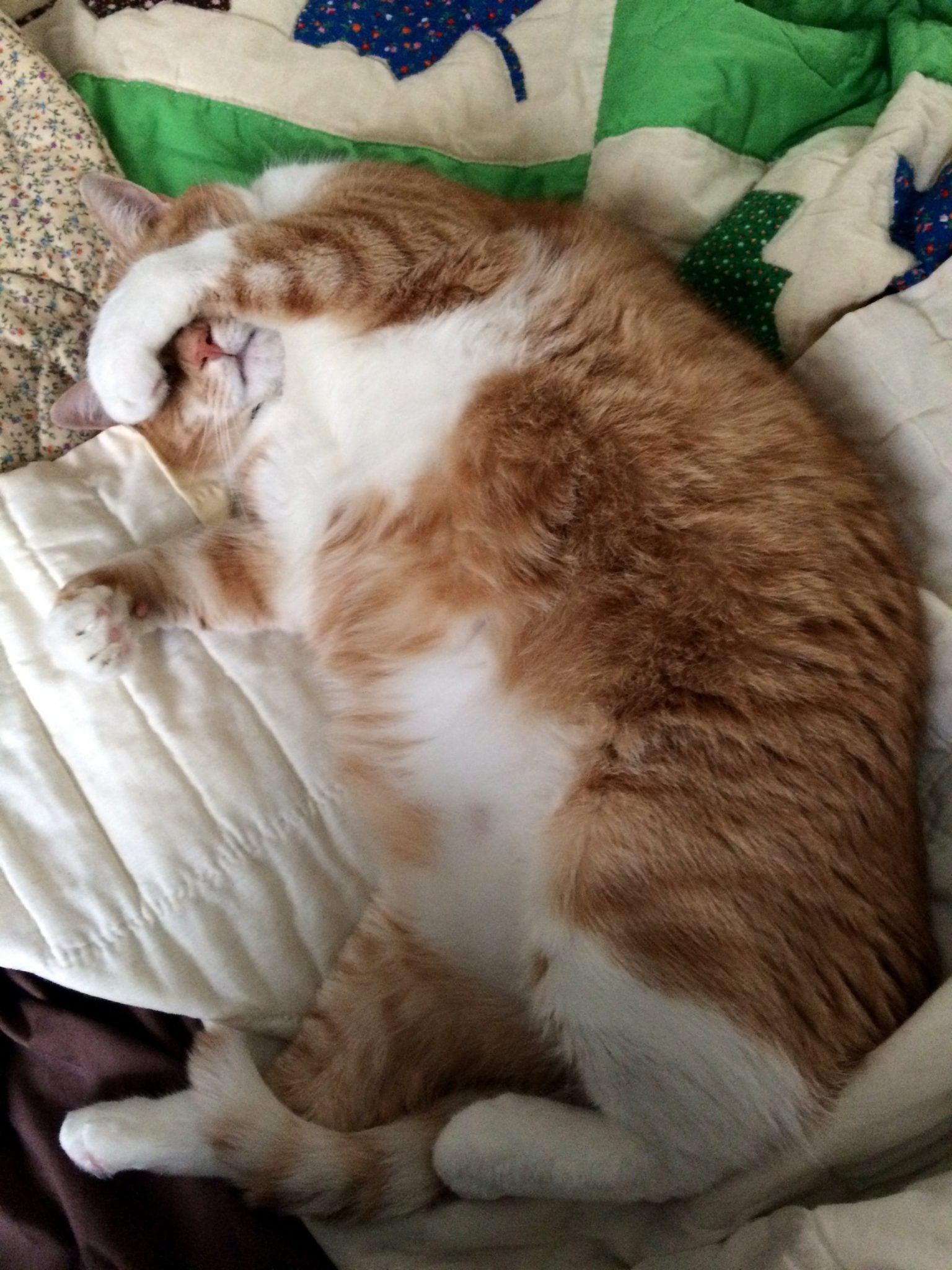 Lazy Days with Banana // 08