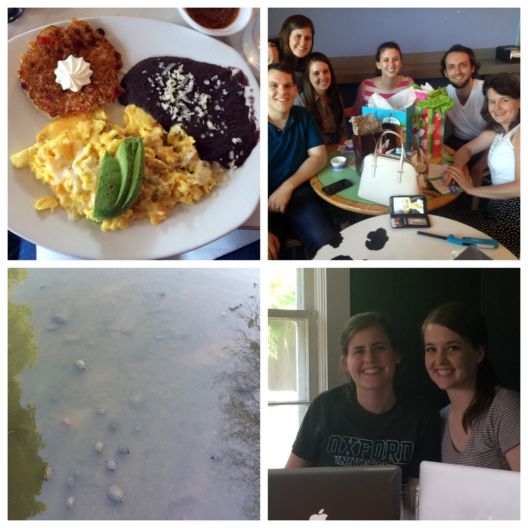 Scenes From the Week, Volume 46