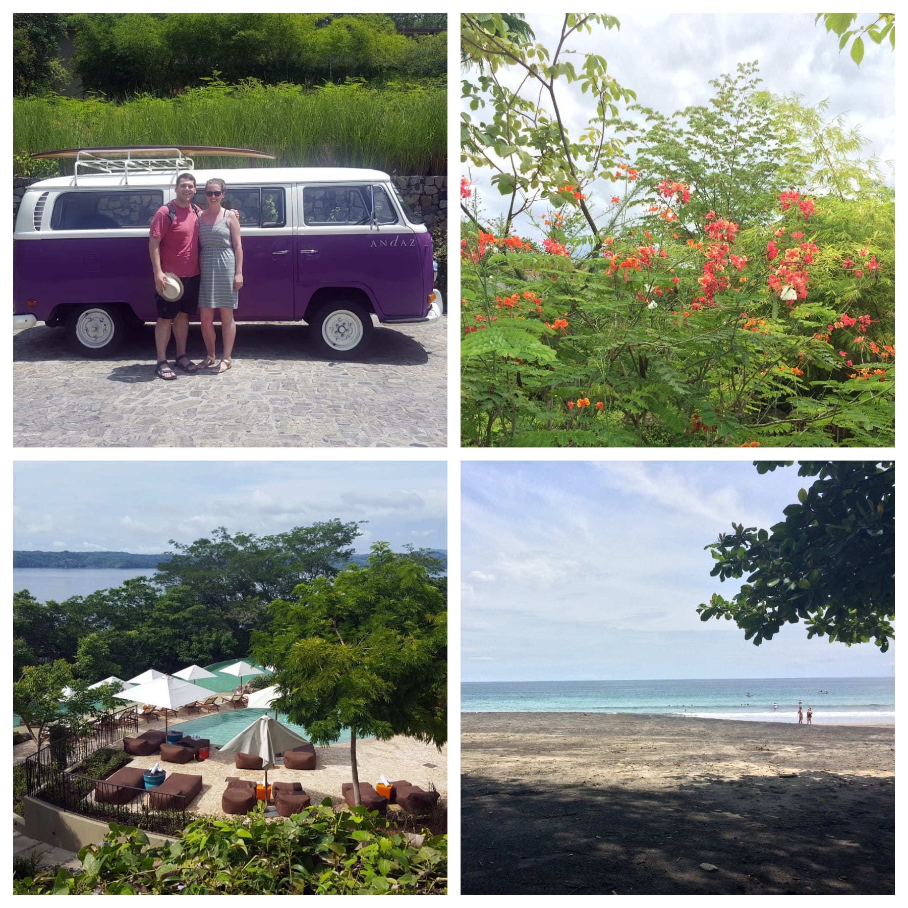 Scenes From the Week, Volume 48