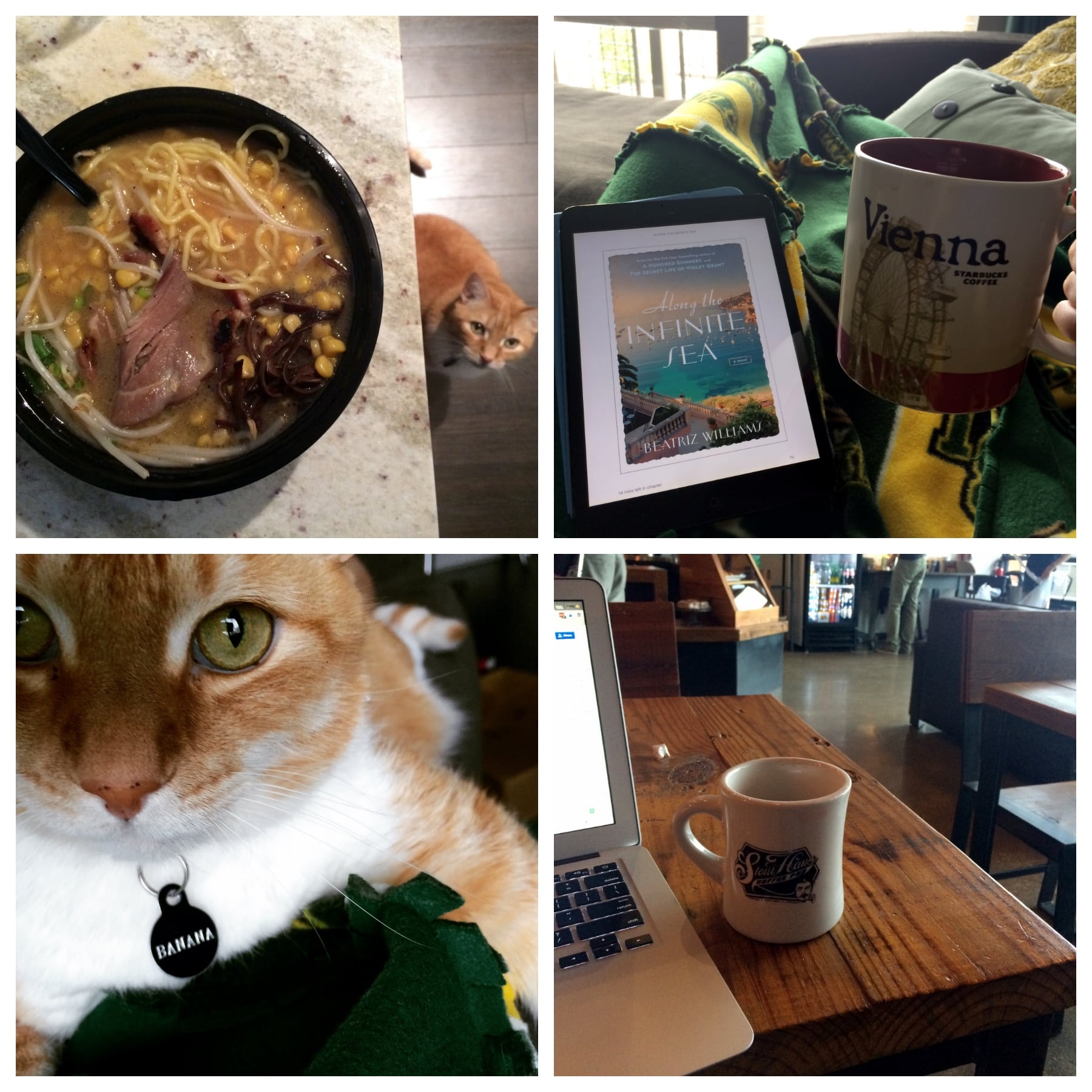 Scenes From the Week, Volume 50