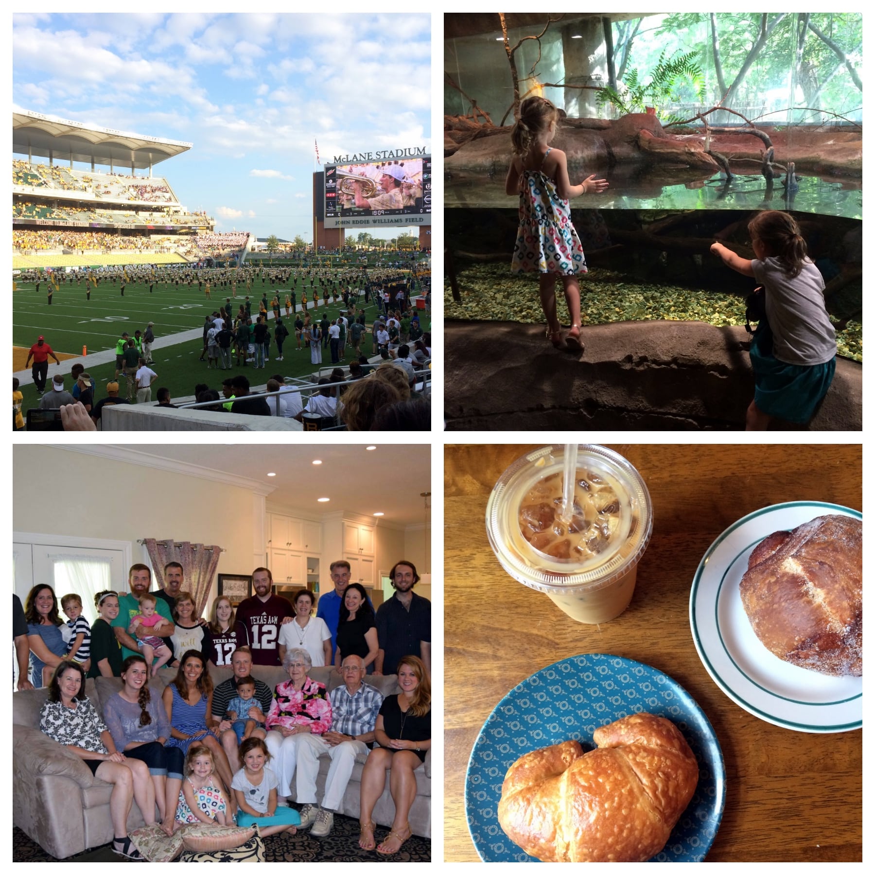 Scenes From the Week, Volume 60