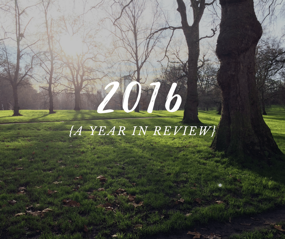 2016 in Review