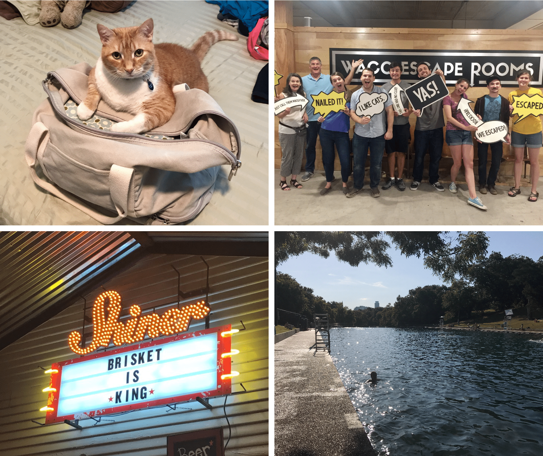 Scenes From the Week, Volume 104