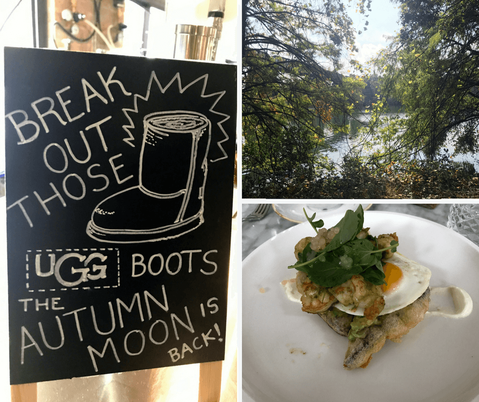 Scenes From the Week, Volume 121