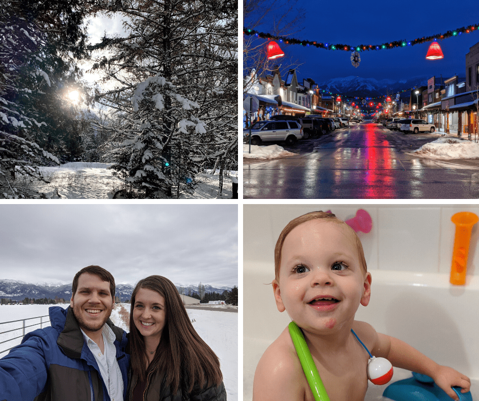 Scenes From the Month: January 2020